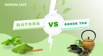 Matcha vs. Green Tea: Which One Is Better?