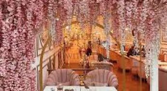 Inside the All-Pink Café That’s Taking Over Instagram